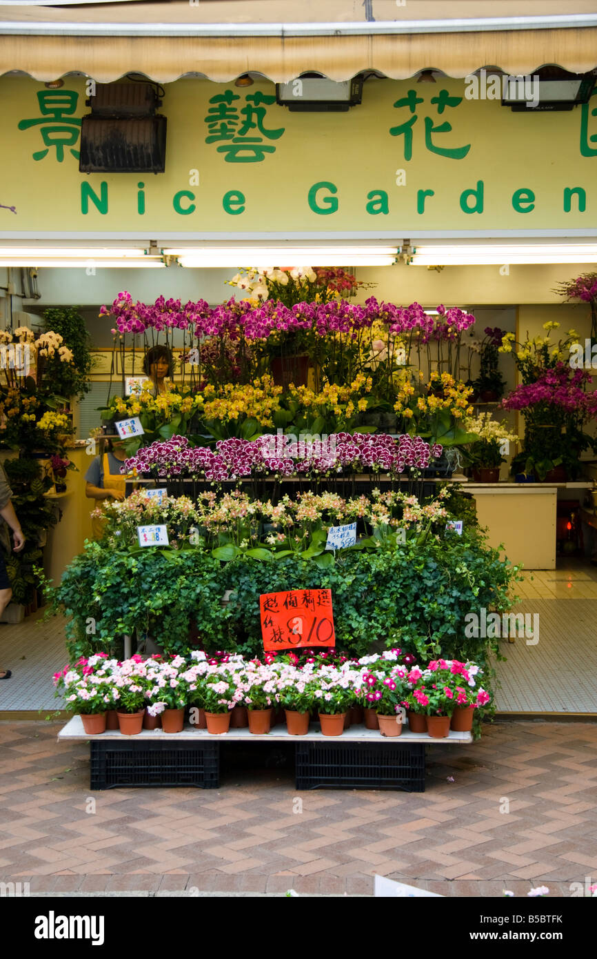 Flower Market Road, Mong Kok, Hong Kong Stock Photo Alamy