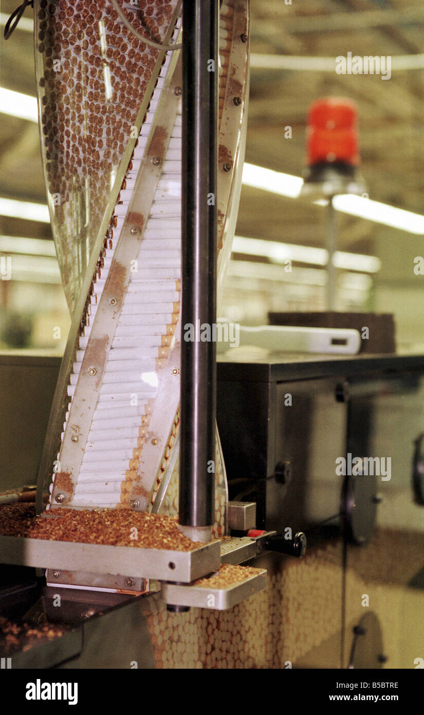 Cigarette production in the cigarette factory Reemtsma Polska