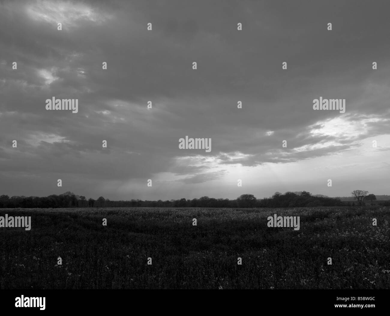 Farm countryside landscape ranch Black and White Stock Photos & Images ...