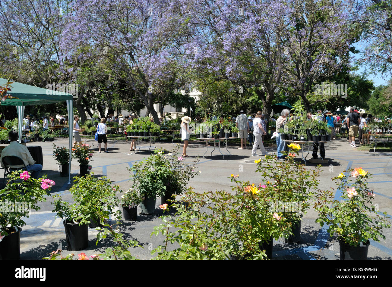 Huntington Library Stock Photos & Huntington Library Stock Images Alamy