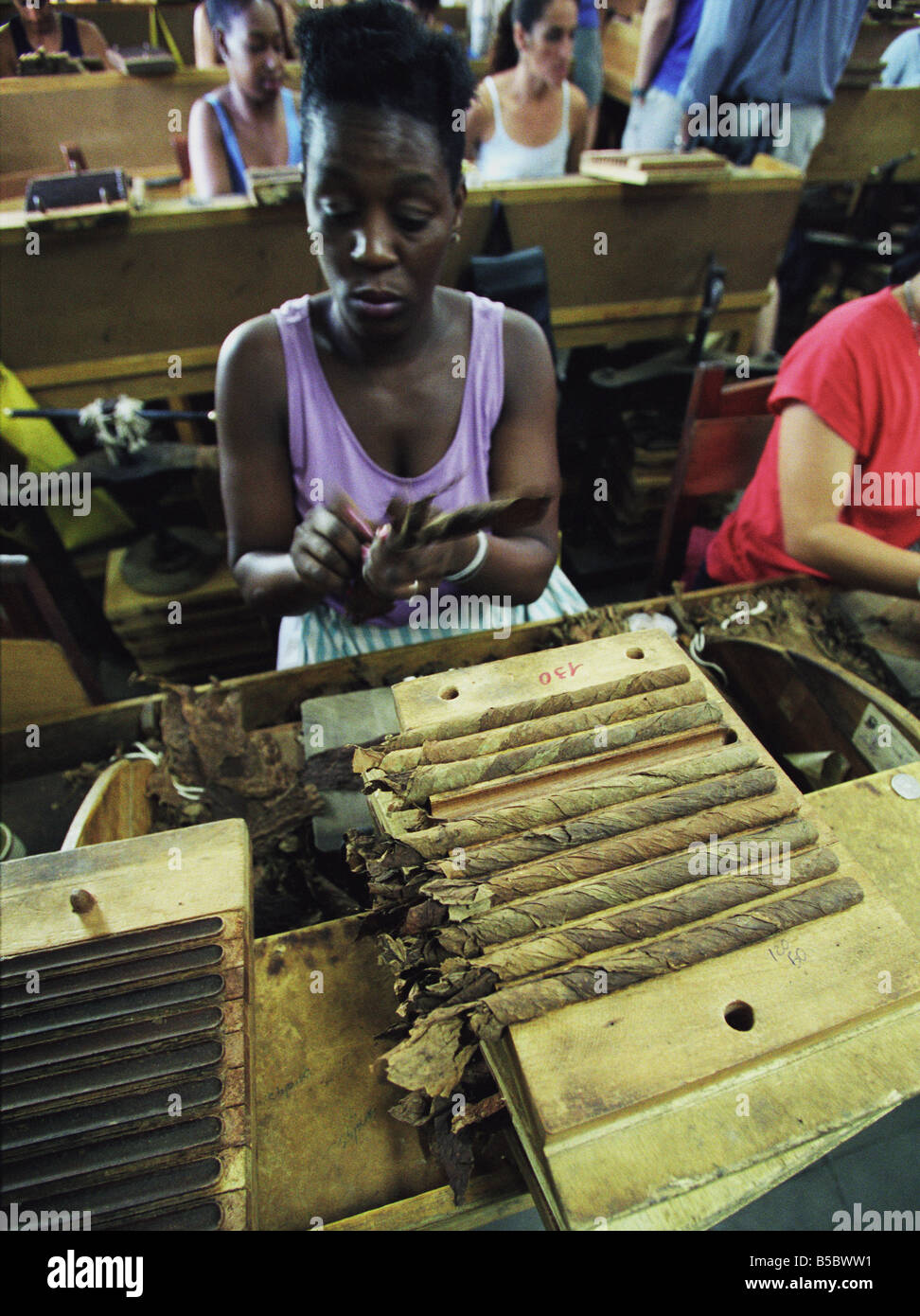 women working at a cigarrfactory with handrolling cigarrs in Havanna on Cuba Stock Photo