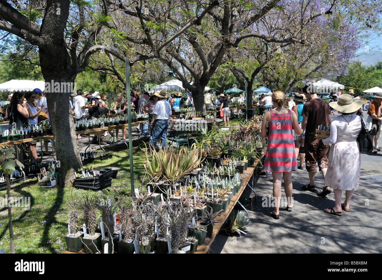 Huntington Library Stock Photos & Huntington Library Stock Images Alamy