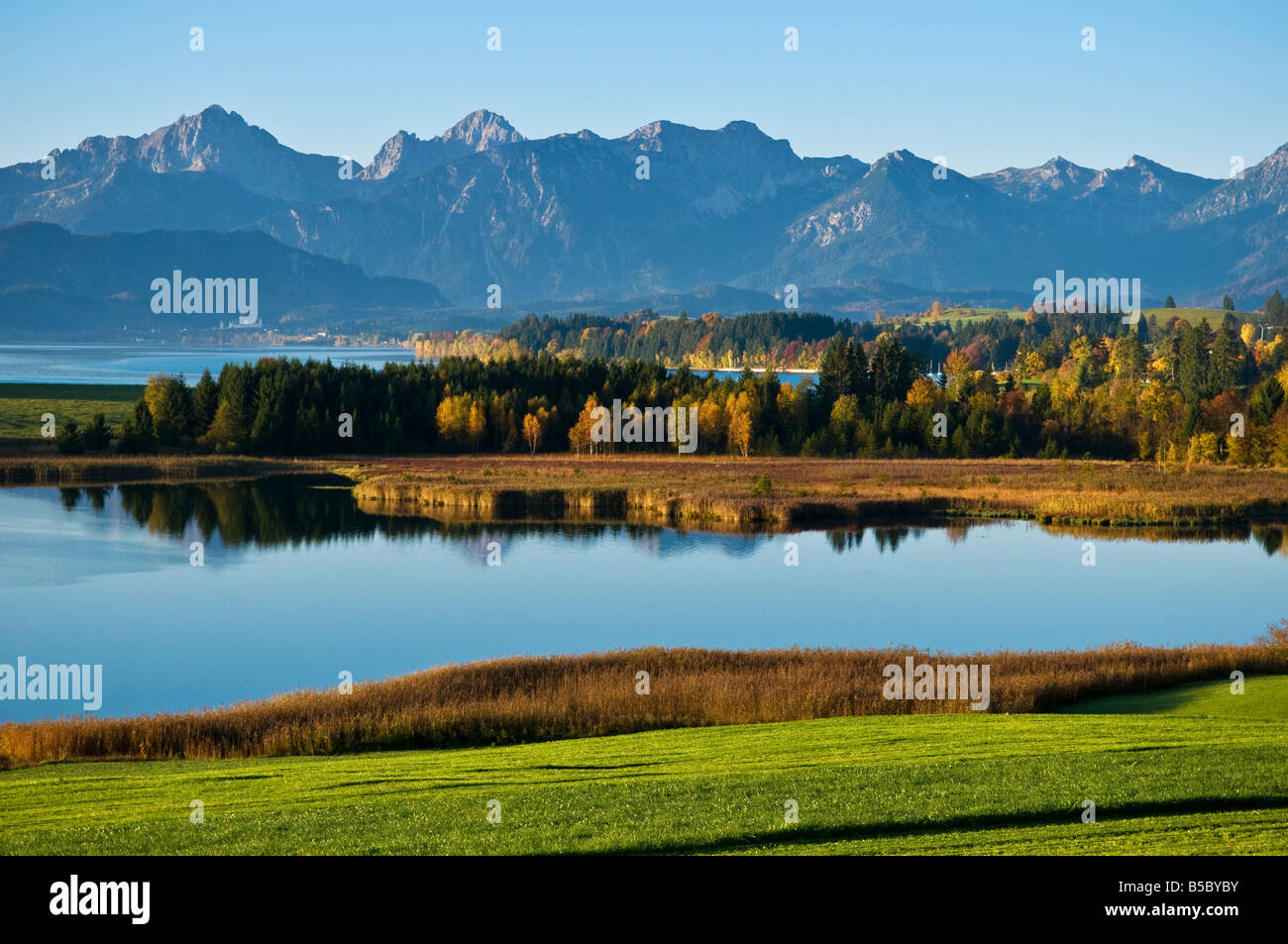 Autumn color at Forggensee lake at dawn with Allgäu Alps  rising in distance, Bavaira, Germany Stock Photo