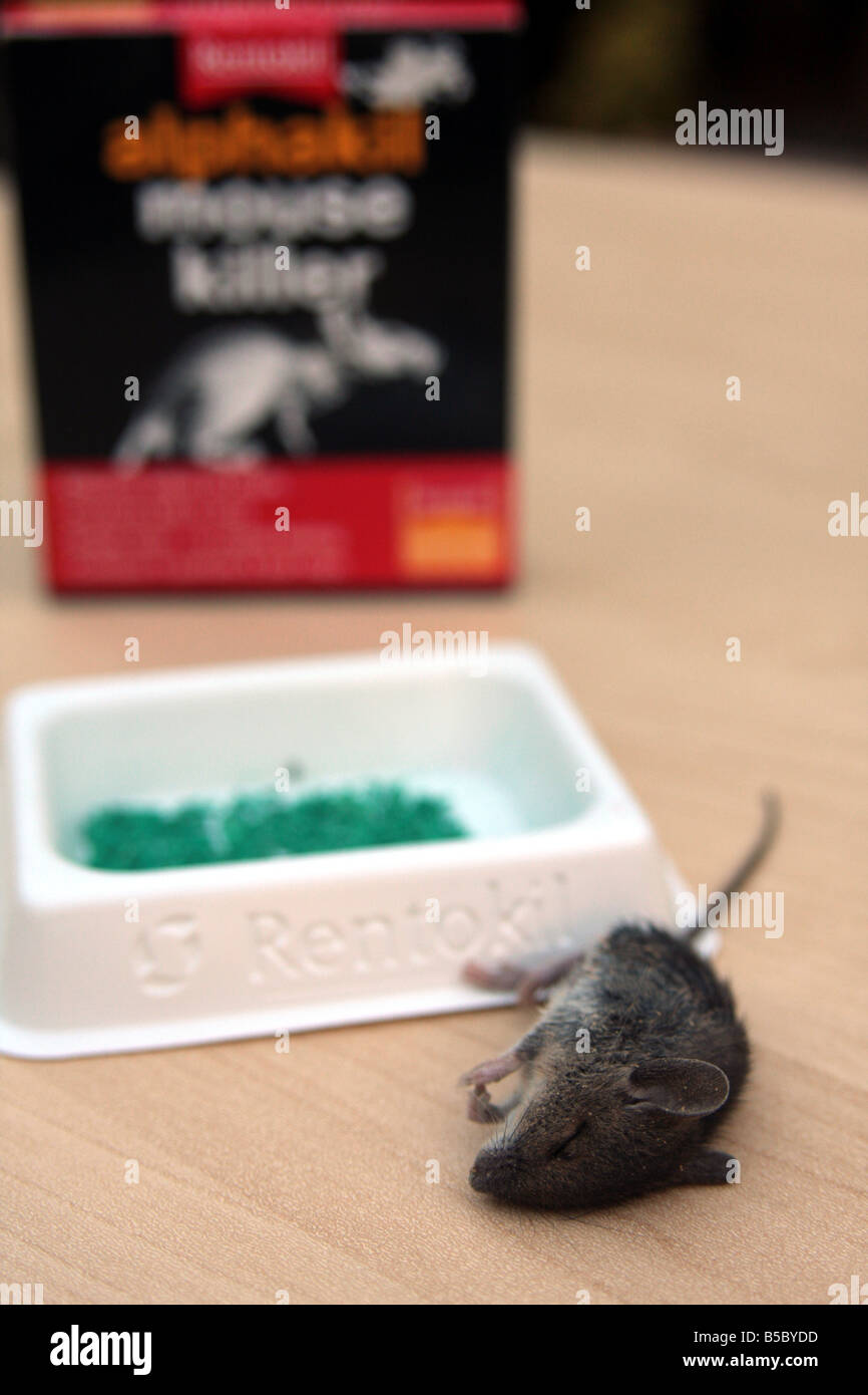 Killedfield hires stock photography and images Alamy