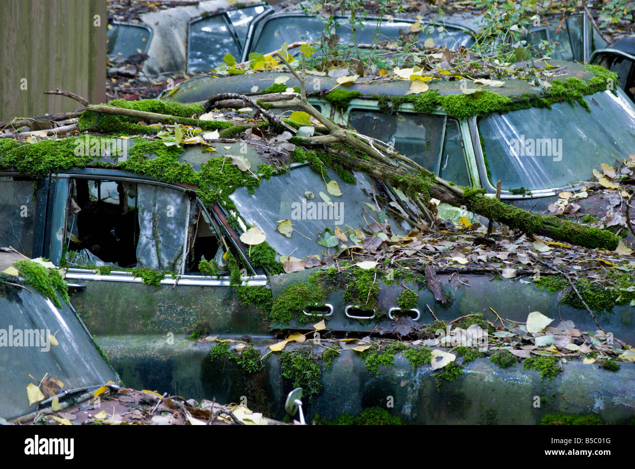 An old Buick automobile is covered in green moss as nature works to reclaim the junkyard Autofriedhof Gurbetal Switzerland Stock Photo