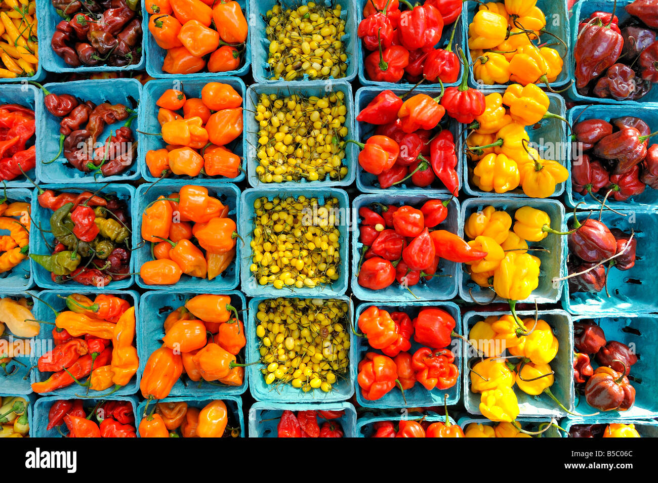 Chile peppers for sale at a New York City green market Stock Photo Alamy