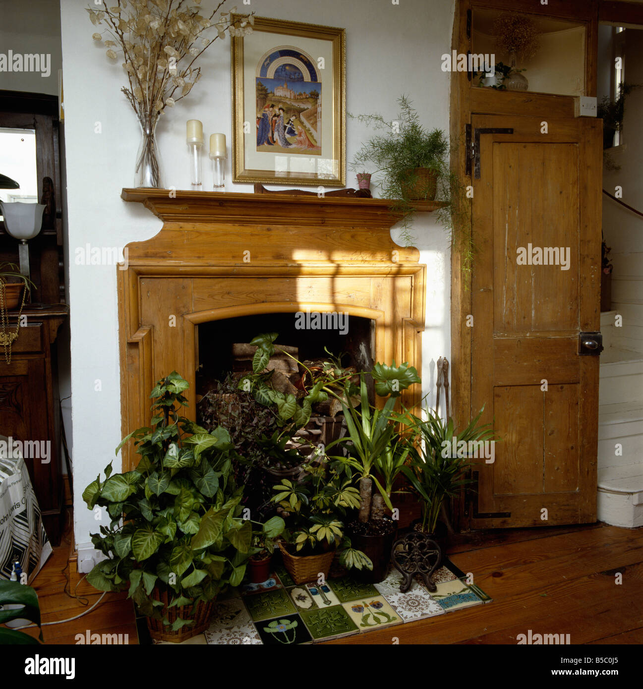 Lush green houseplants in fireplace with pine mantelpiece and