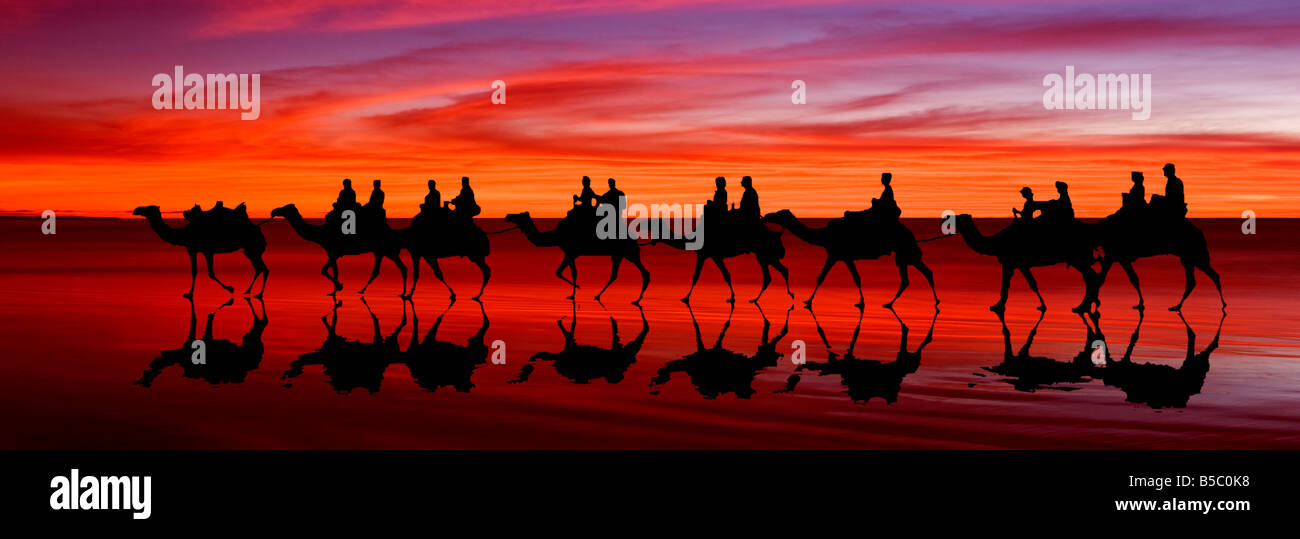 Camel Ride on Cable Beach, Broome, Western Australia Stock Photo