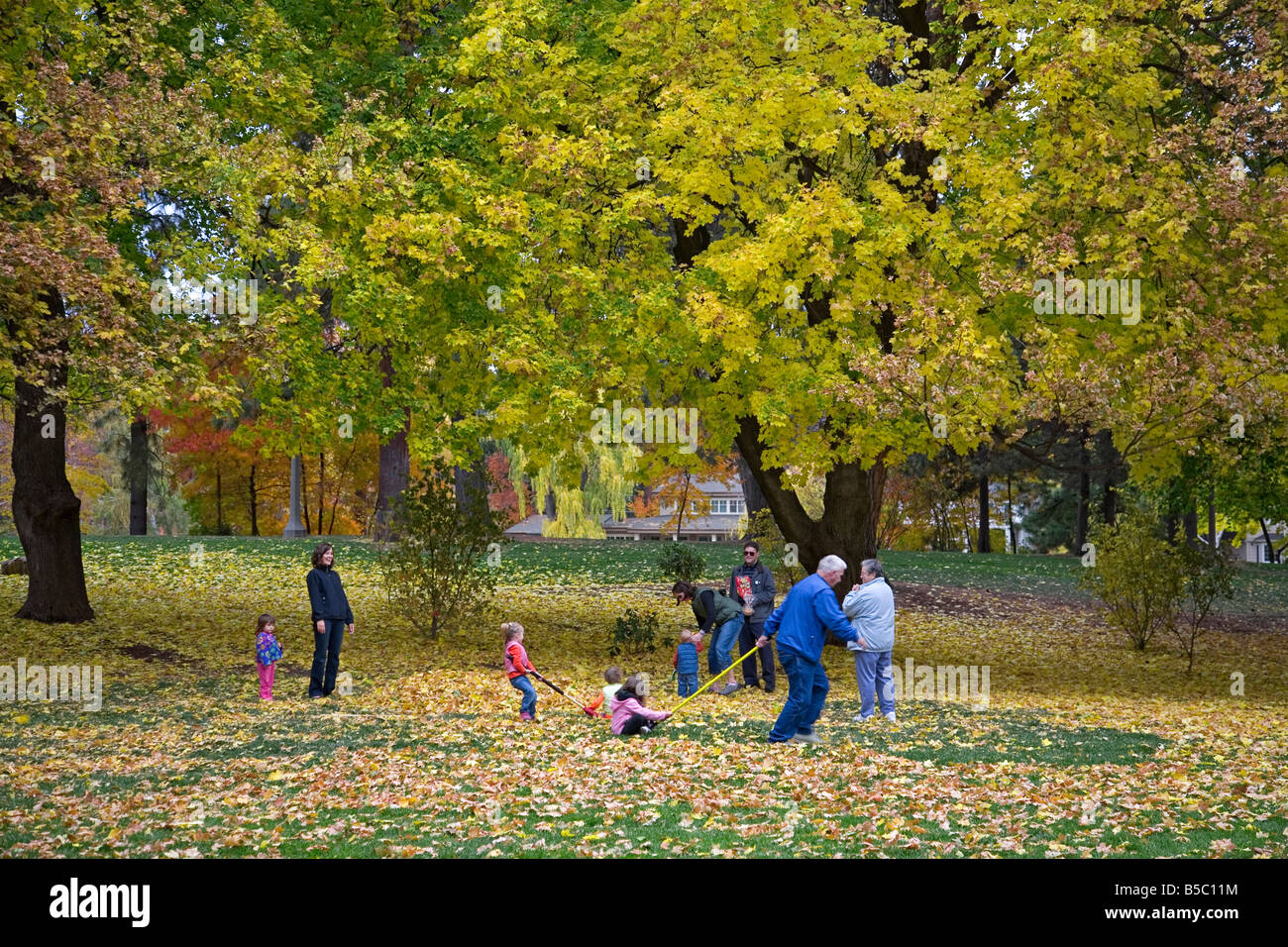 A family plays beneath maple trees in Drake Park in Bend during the october color change, Bend, Oregon. Stock Photo
