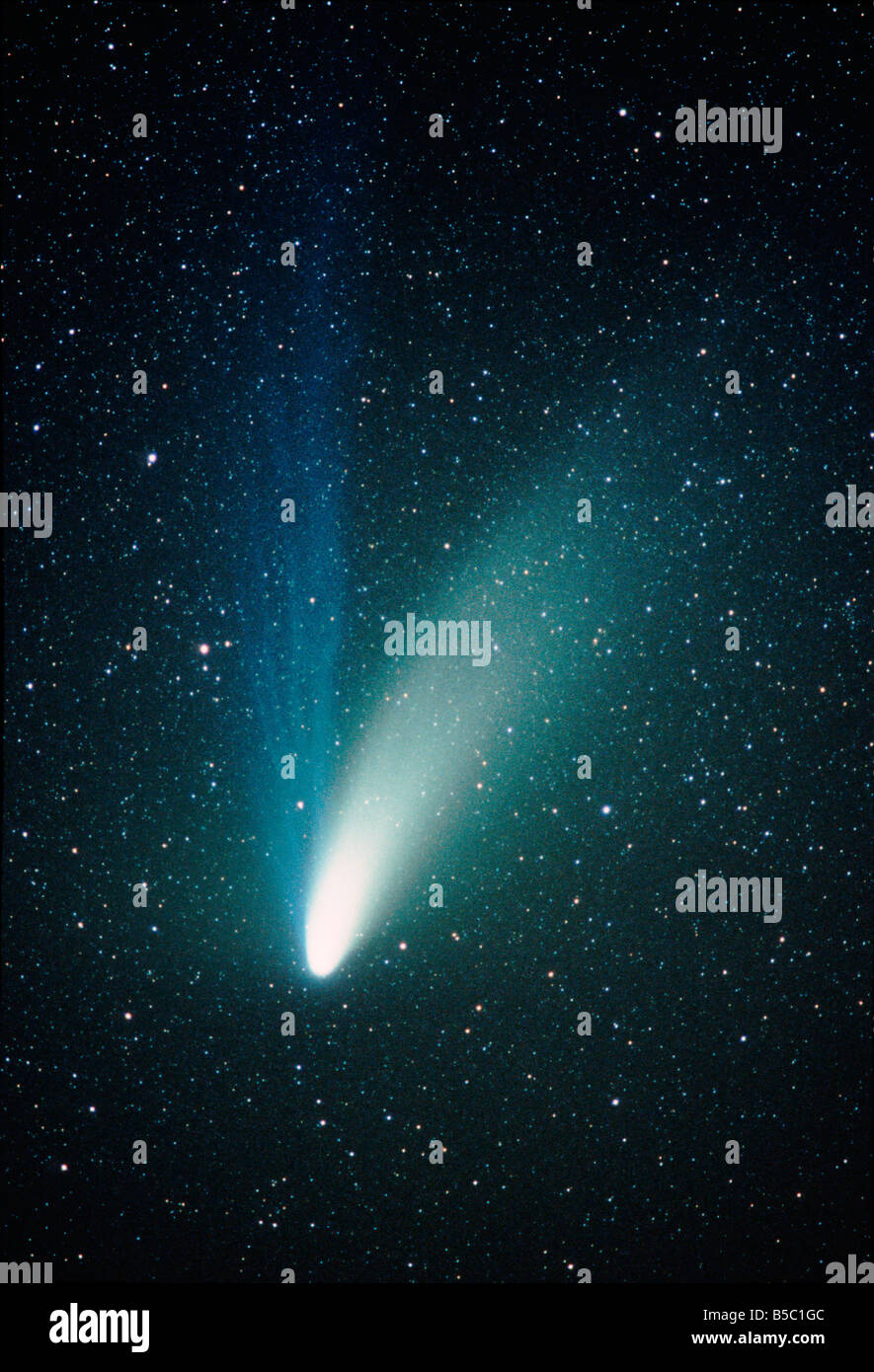 Comet Hale-Bopp, shoiwng its separate dust (white) and gas (blue) tails. Stock Photo
