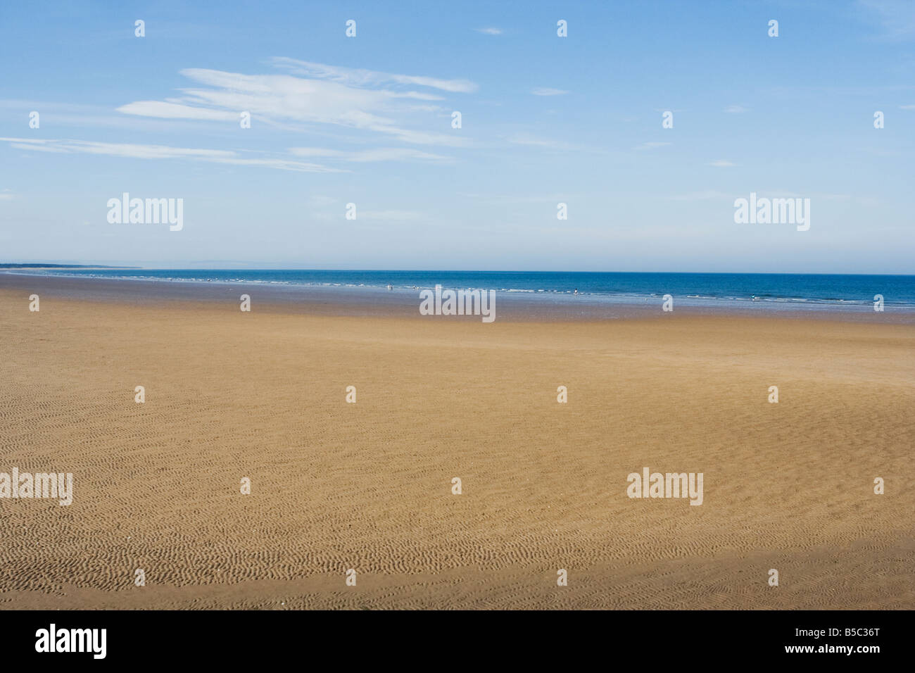 Low tide on St Andrews Beach Stock Photo Alamy