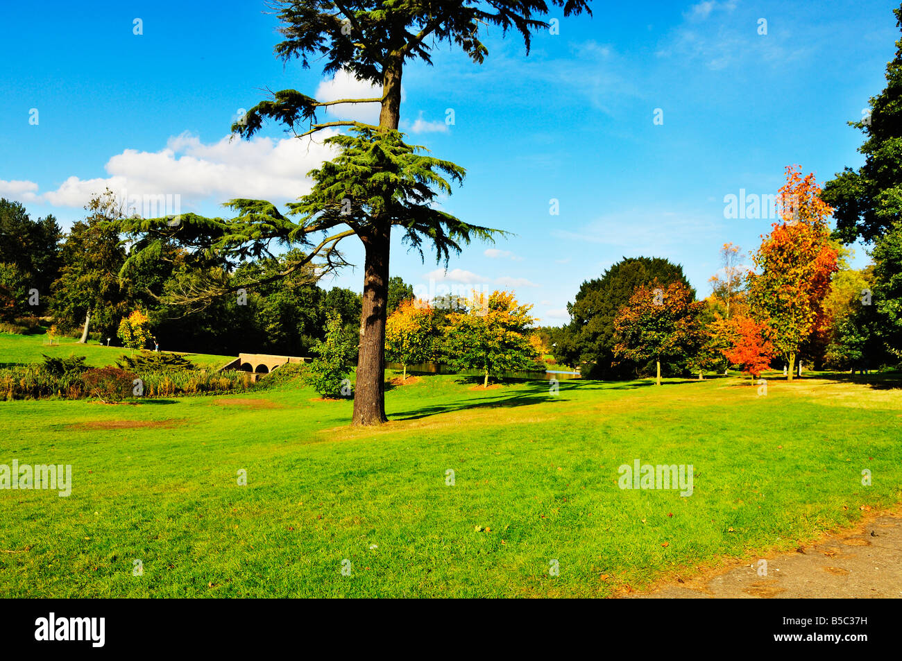 Autumn Colours, Marks Hall Arboretum, Essex, England Stock Photo