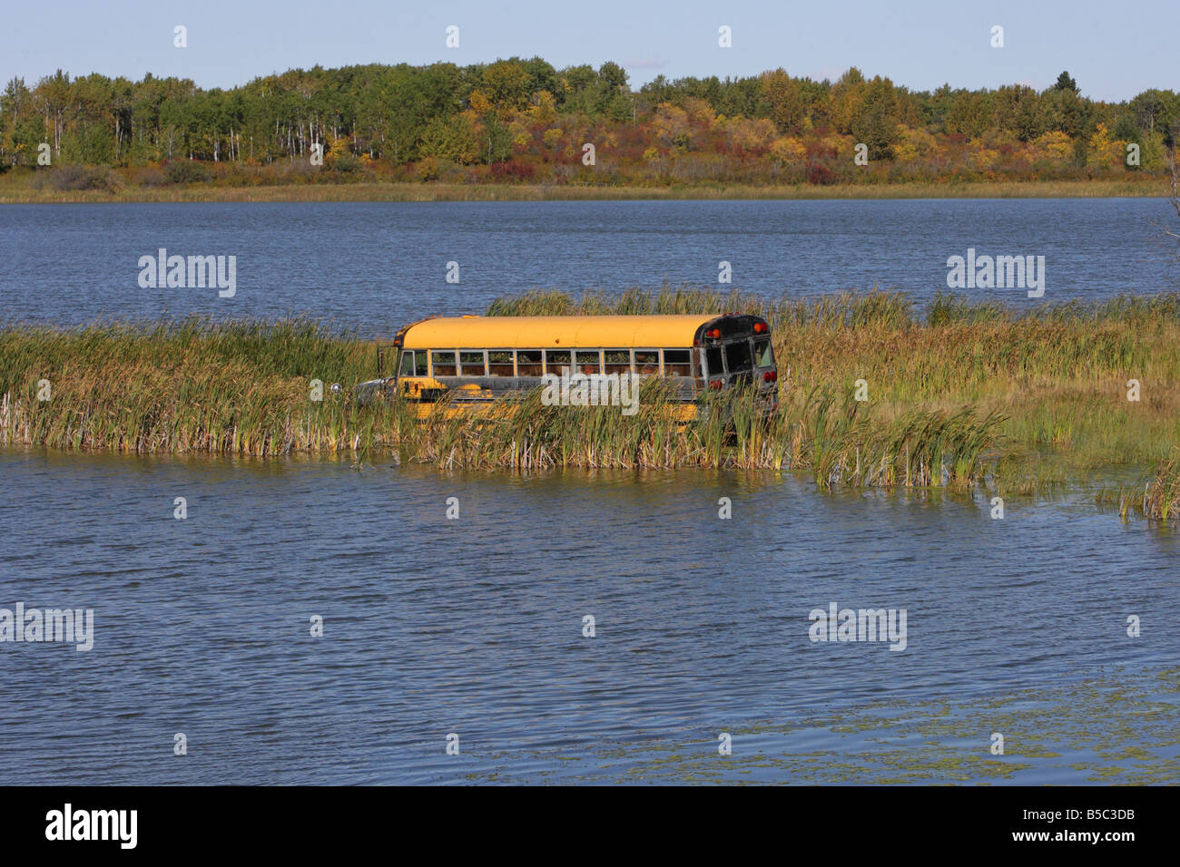 Yellow school bus hi-res stock photography and images - Alamy