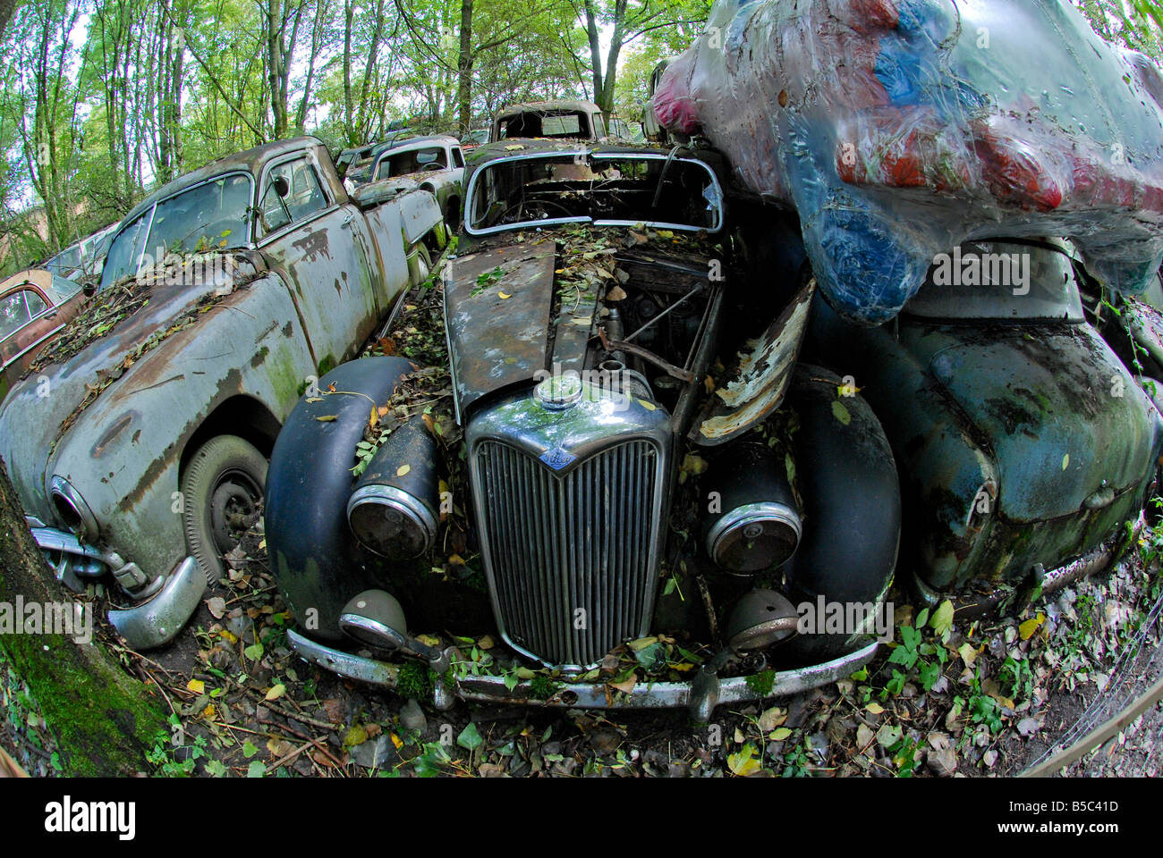 An old Riley sits in the forest junkyard at Autofriedhof Gurbetal Switzerland Stock Photo