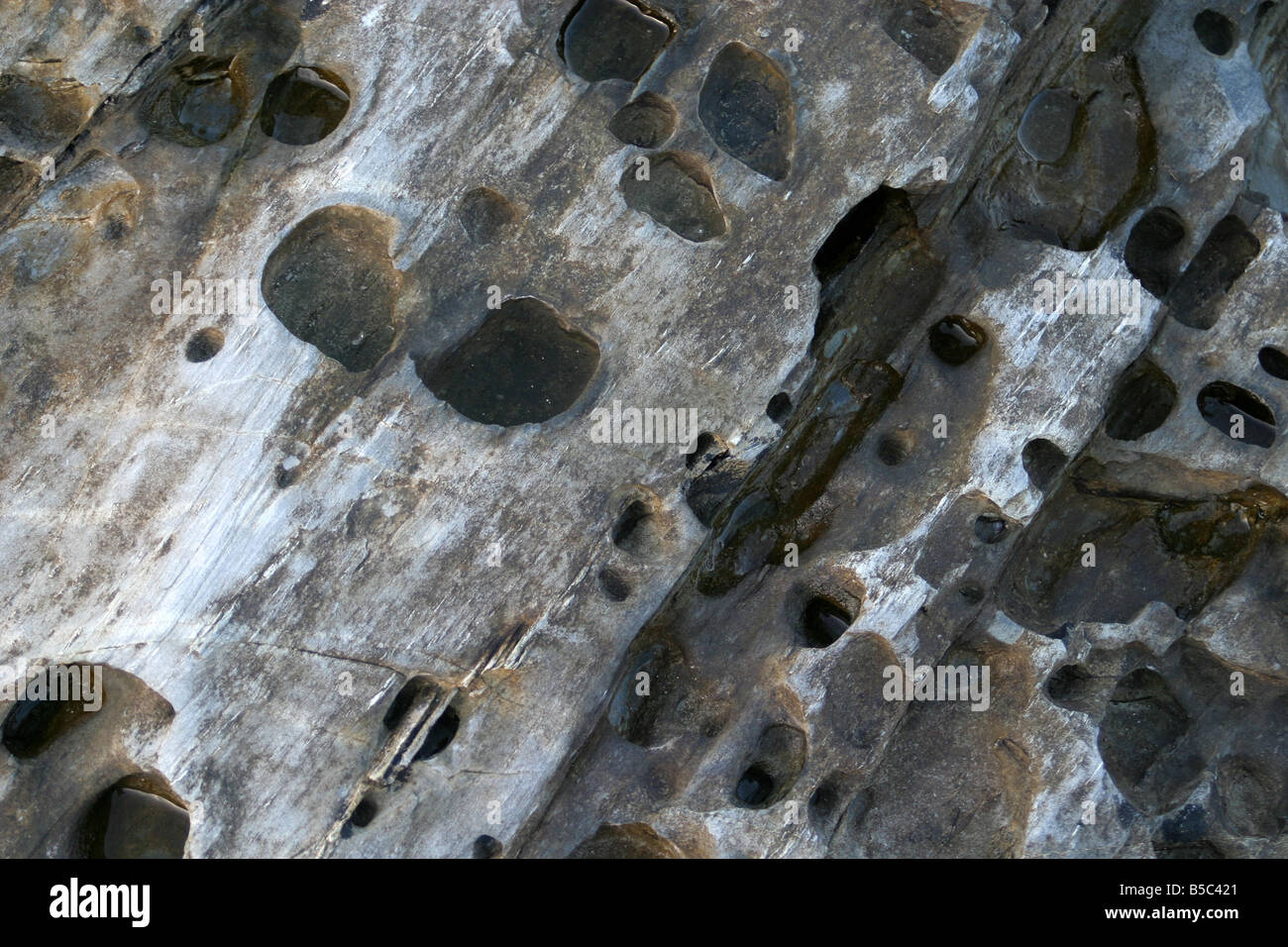 Abstract rock formation Cornwall UK Stock Photo