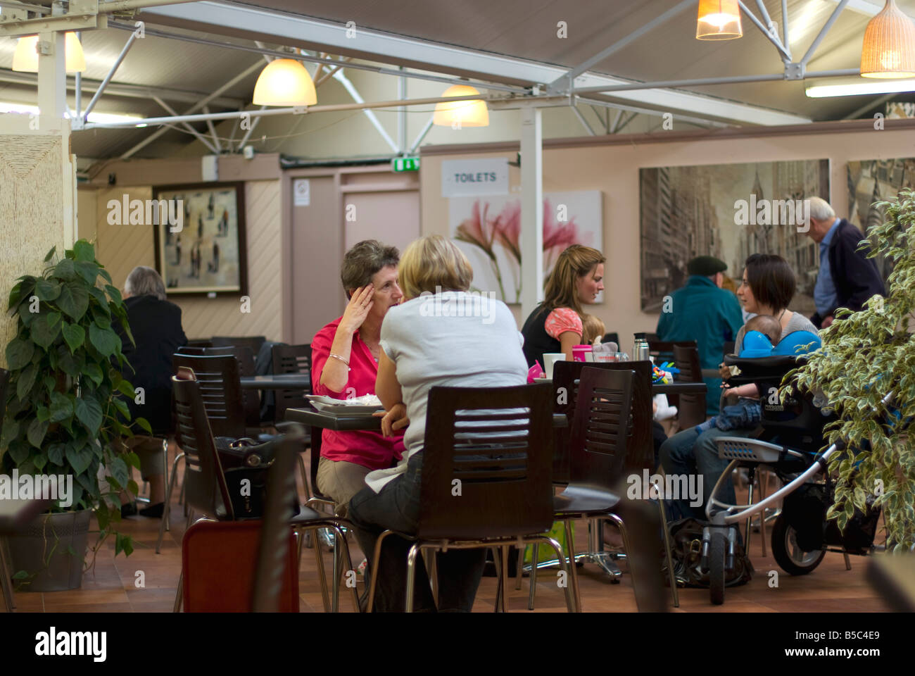 Diners in a garden centre cafeteria Stock Photo Alamy