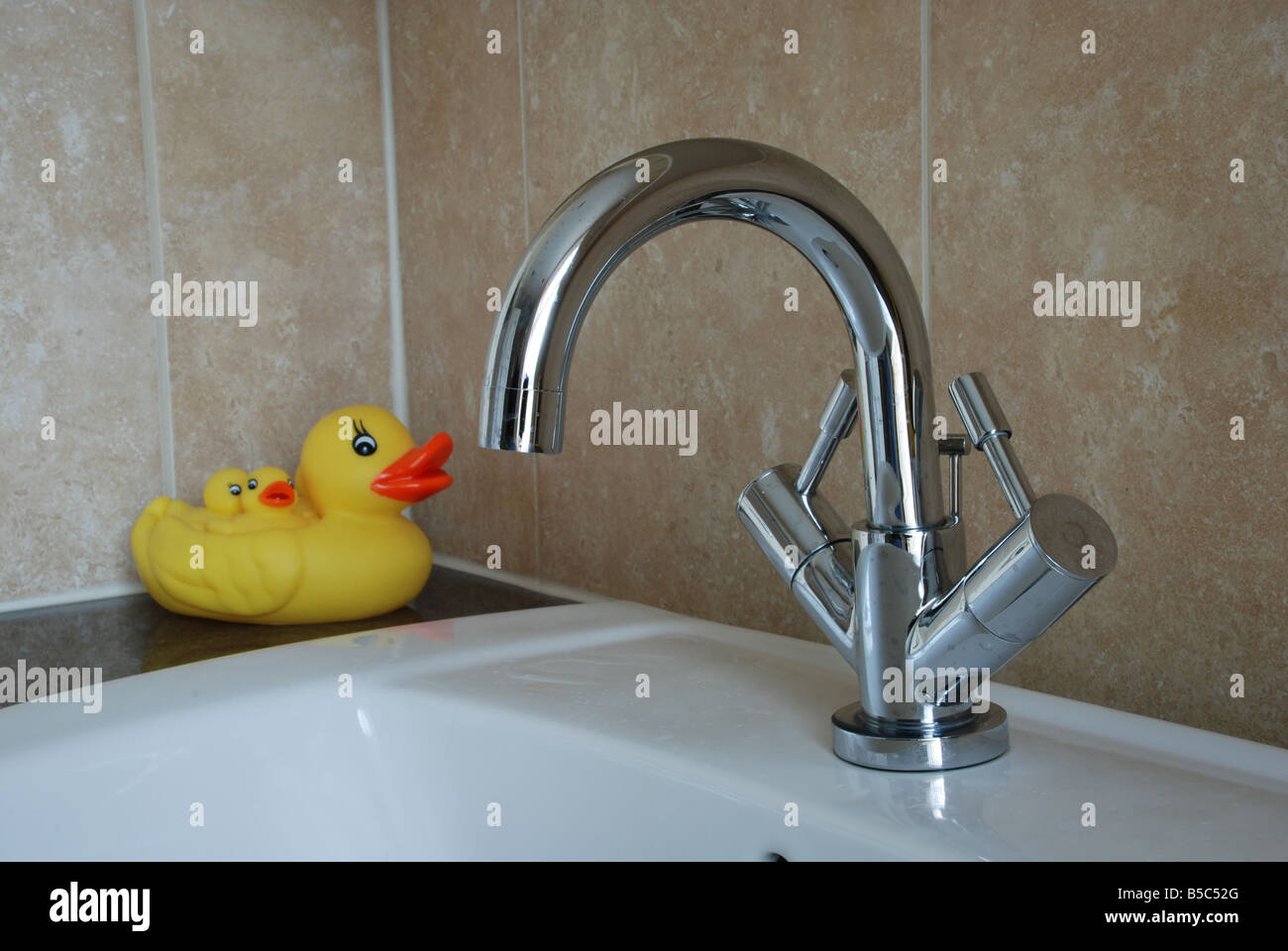 Bathroom ducks hires stock photography and images Alamy