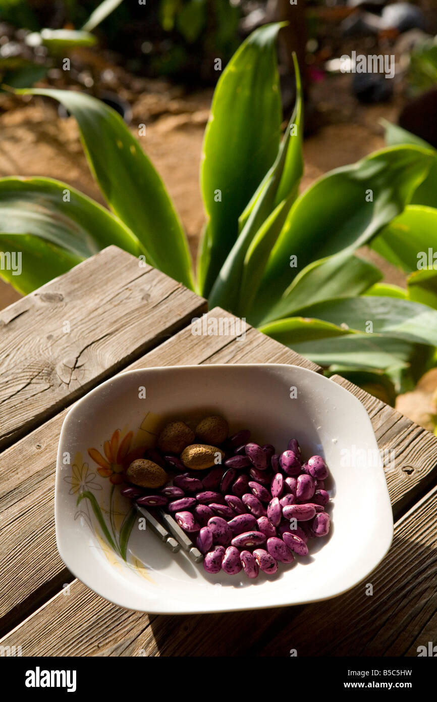Some dried beans in a bowl on a table on a veranda on the island of La