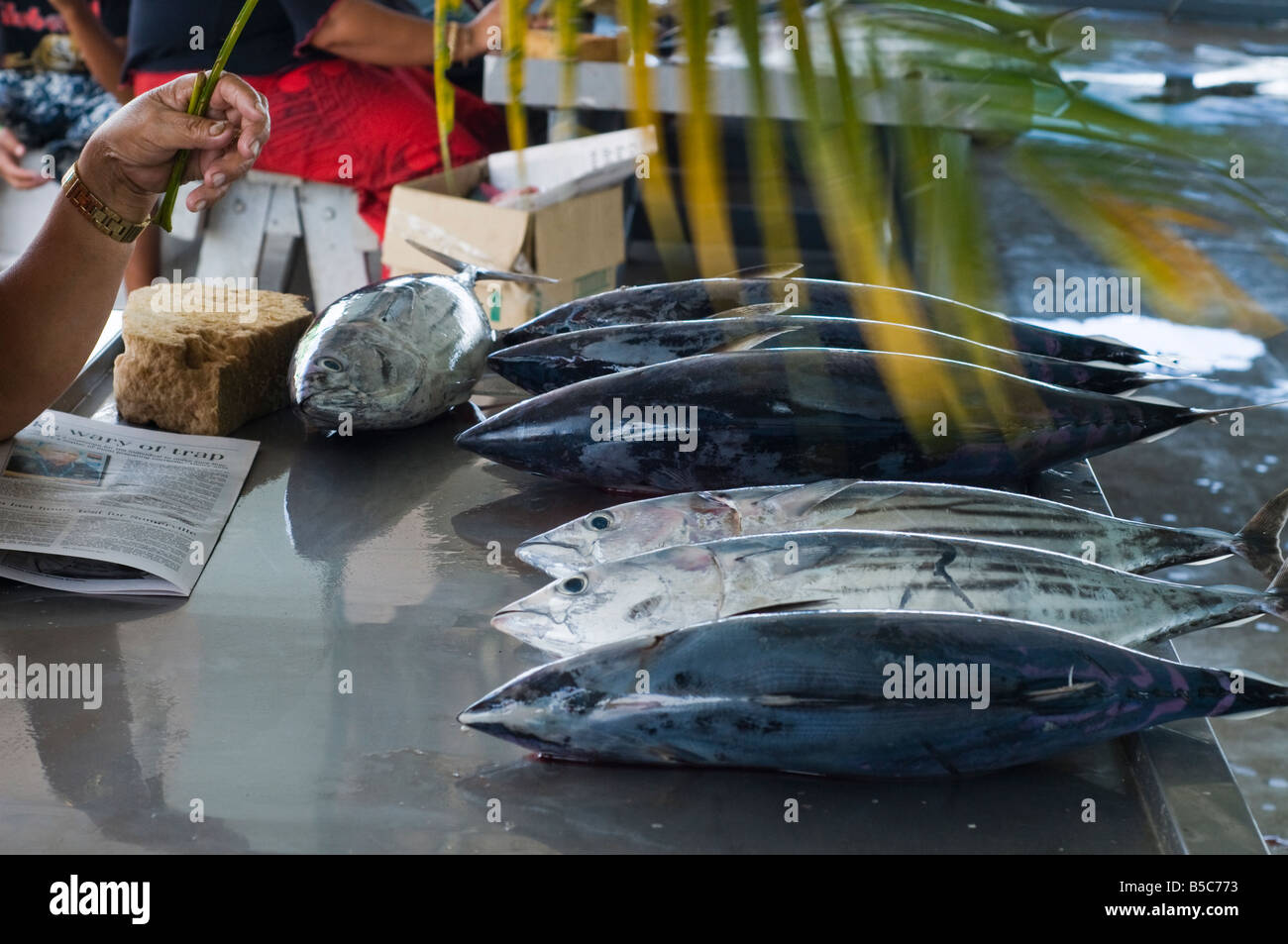 hand with palm leave, keeping flies away from fish, fish market, Apia