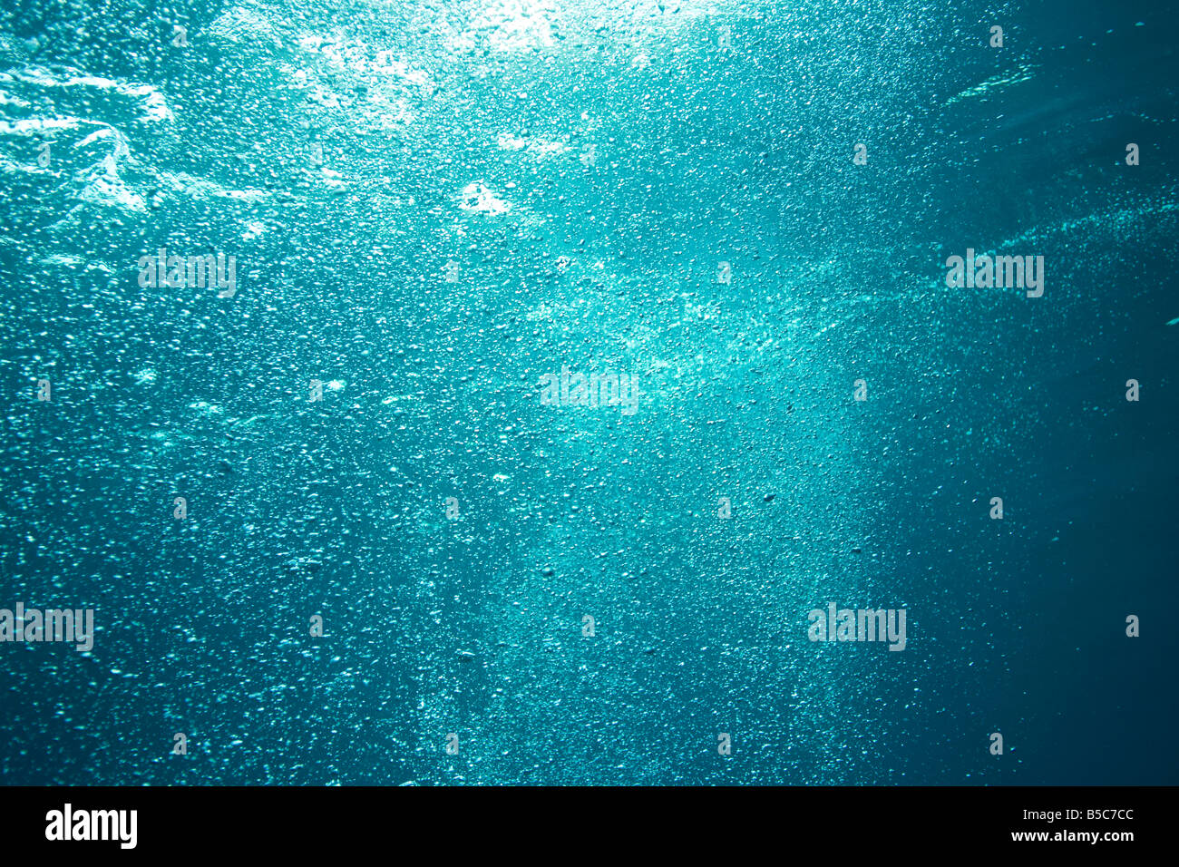 Bubbles at the ocean hi-res stock photography and images - Alamy