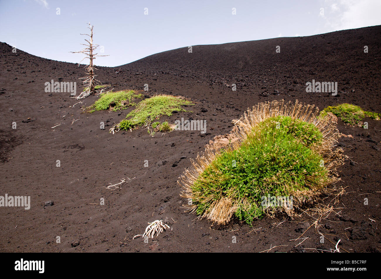 Volcano ash soil hires stock photography and images Alamy