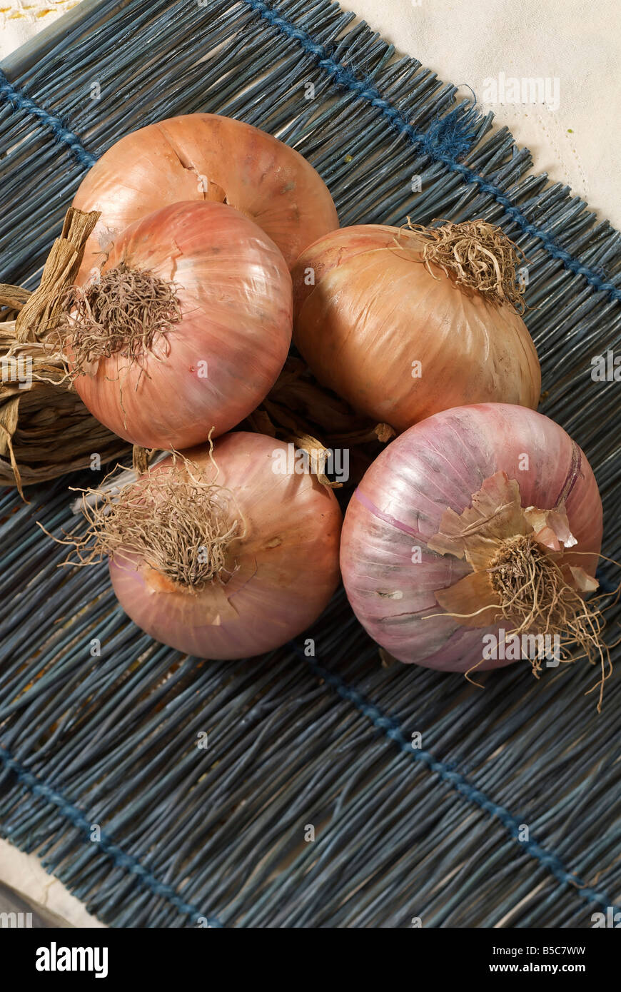Bulb onion hi-res stock photography and images - Alamy