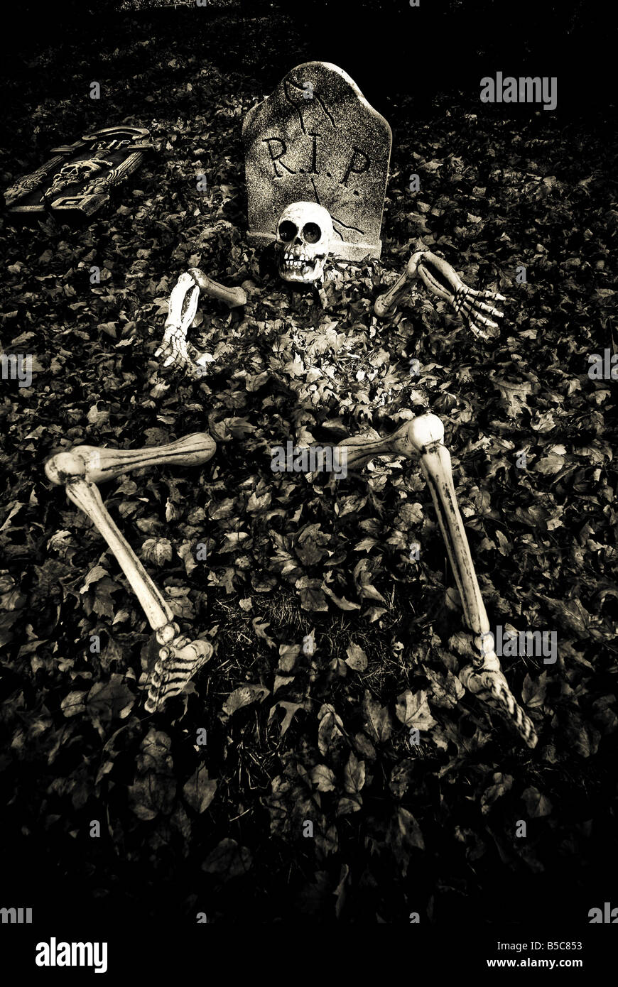 Dead rising from grave hires stock photography and images Alamy