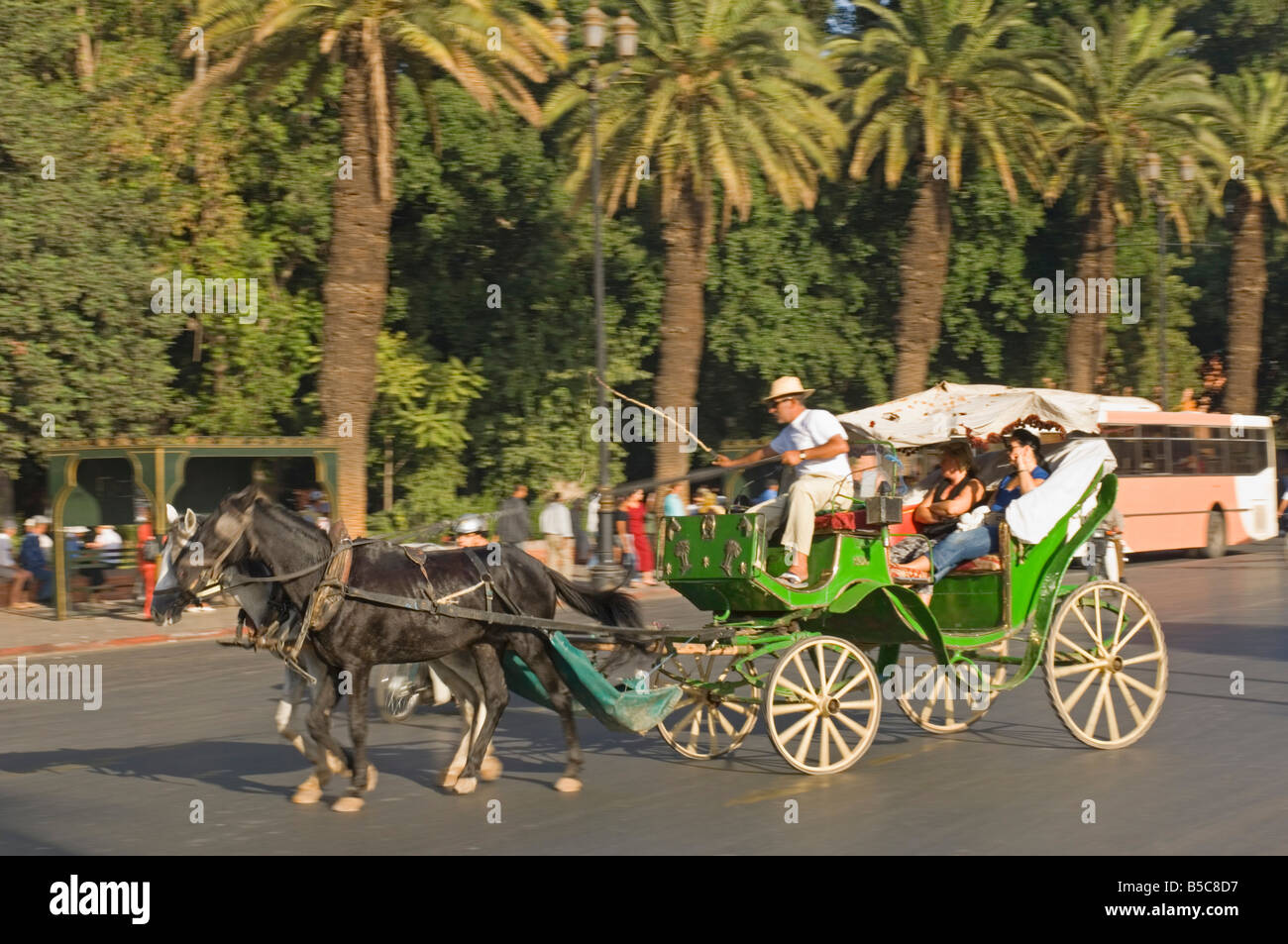 A tourist horse and carriage (Caleche) in Marrakesh - Slow shutter speed and panning for motion blur. Stock Photo