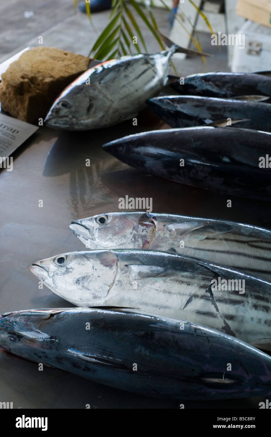 Apia fish market,fresh caught fish, Samoa Stock Photo Alamy