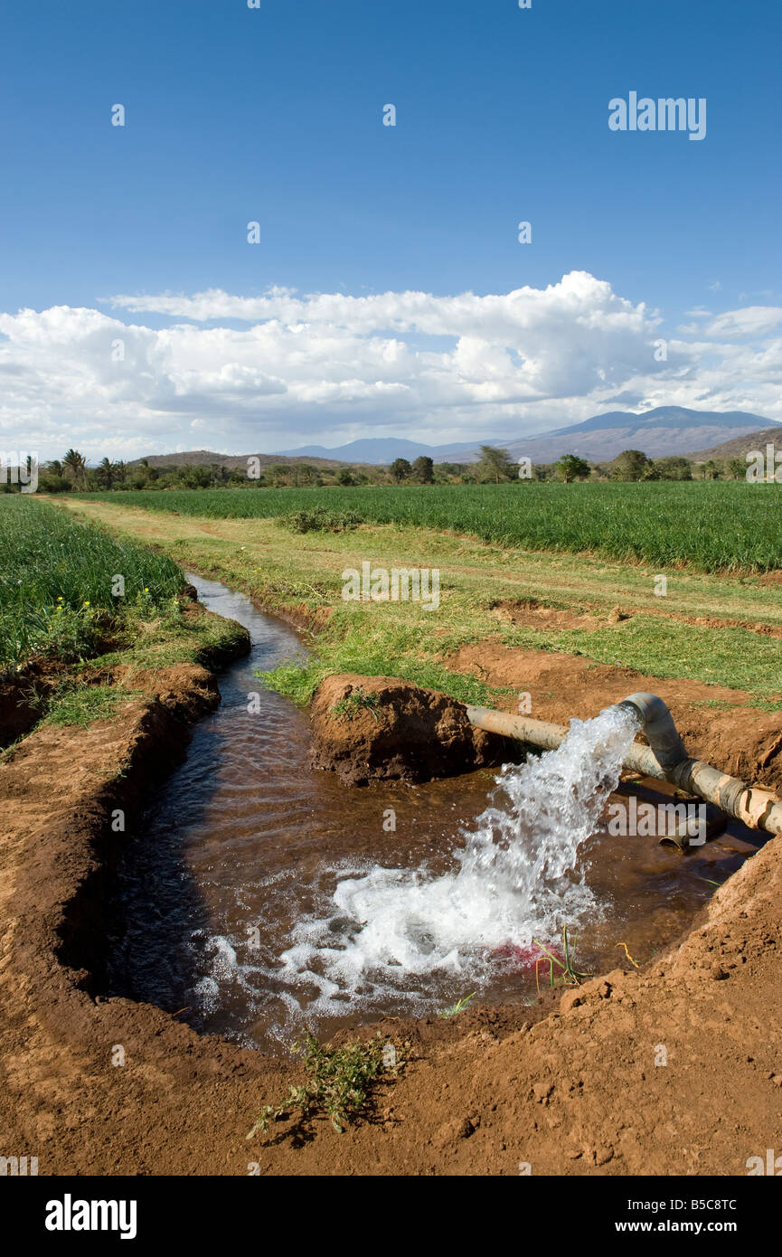 Tanzania Irrigation High Resolution Stock Photography and Images Alamy