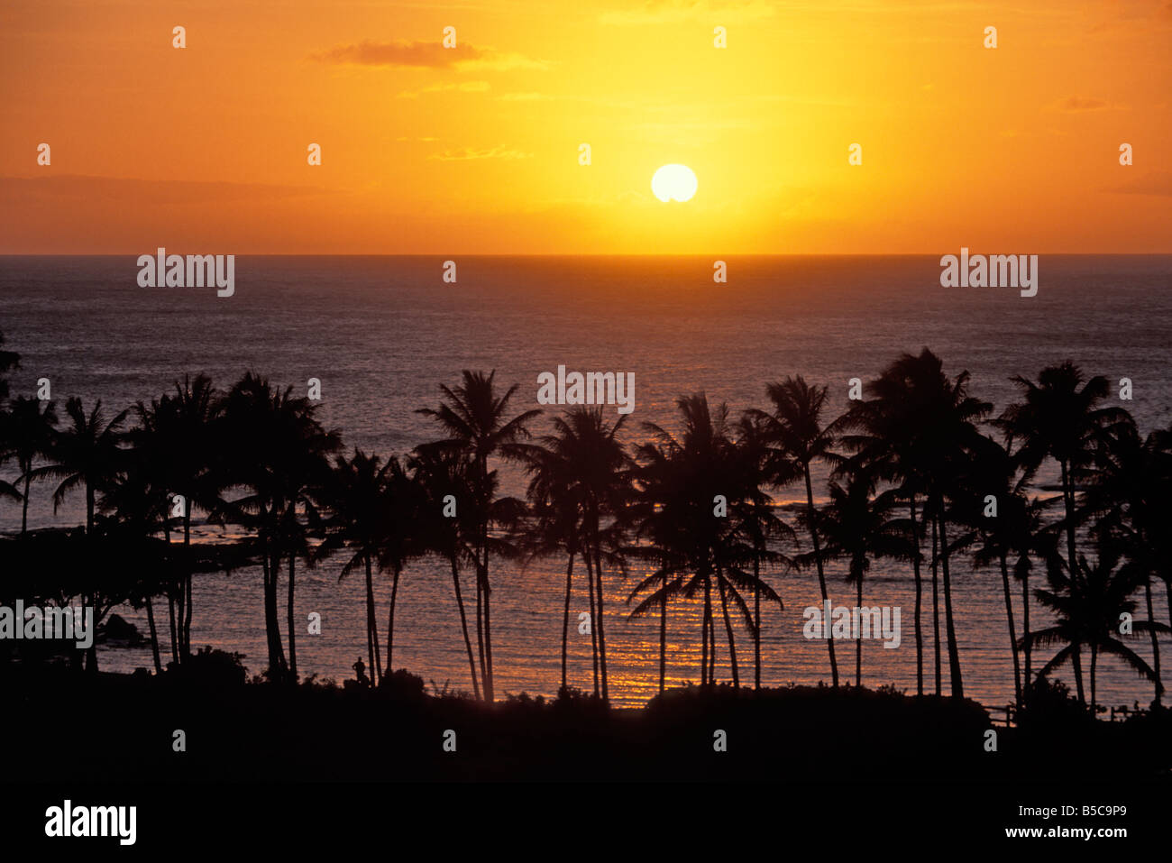 A sunset at Kapalua, Maui, hawaii with palm trees Stock Photo - Alamy