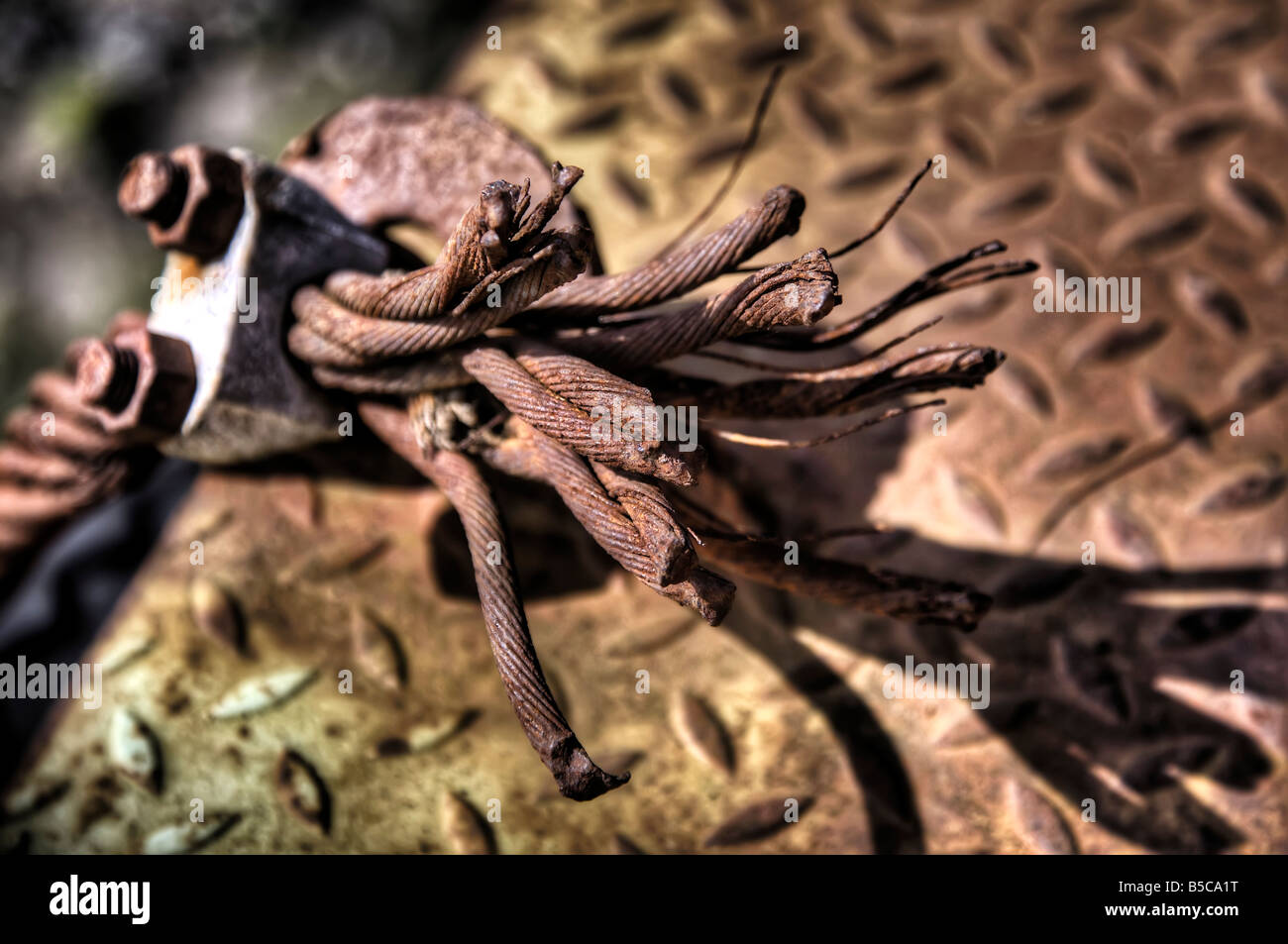 end of a stranded wire Stock Photo Alamy