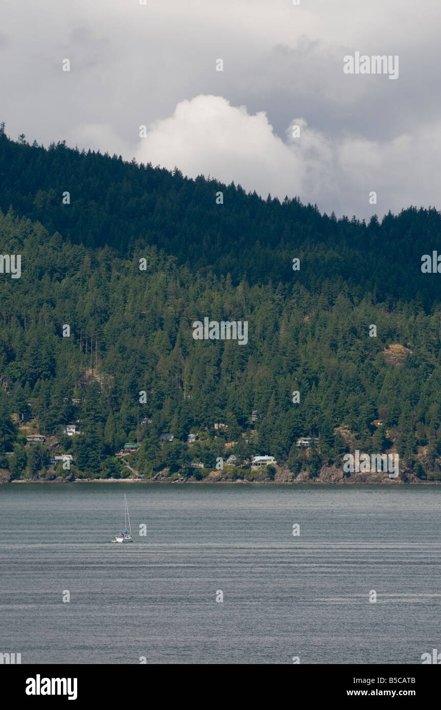 Sailing in Canada Stock Photo Alamy
