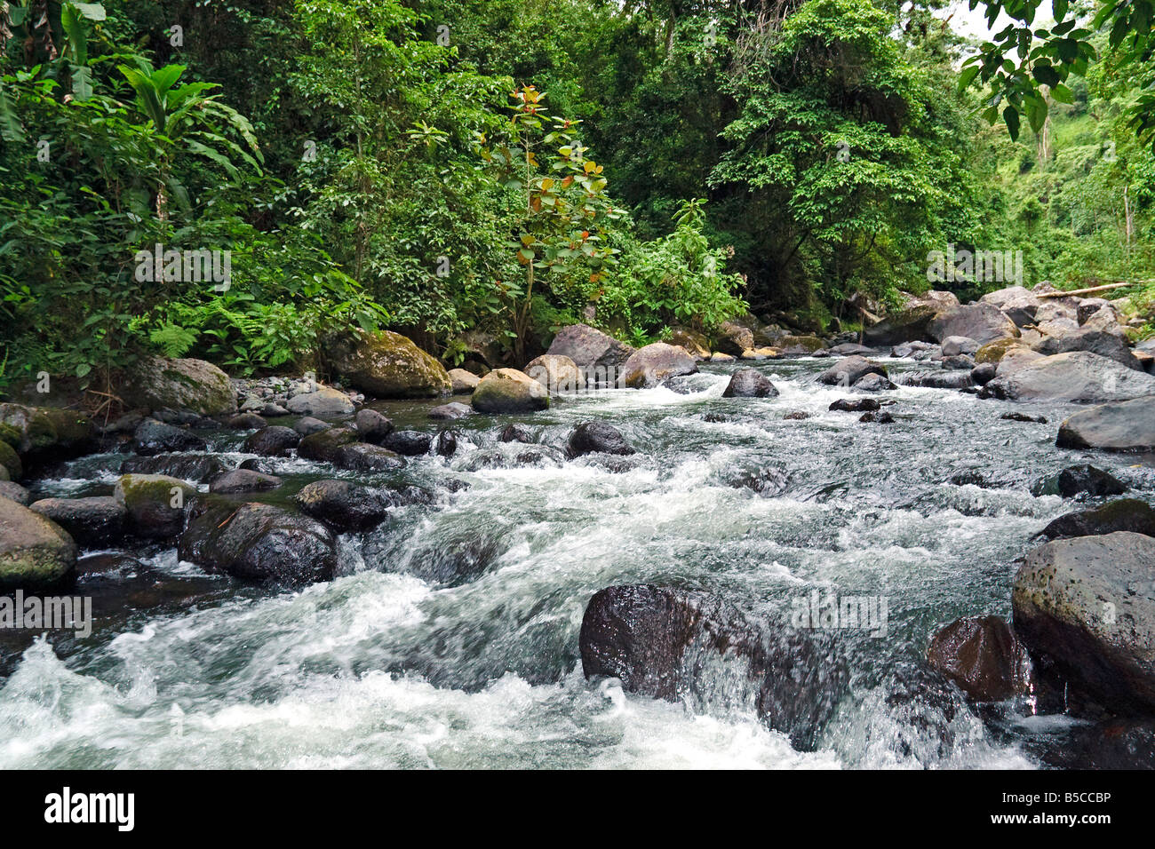 Fast flowing Weru Weru River at Umbwe Village in the forested area of Mount Kilimanjaro, Tanzania Stock Photo