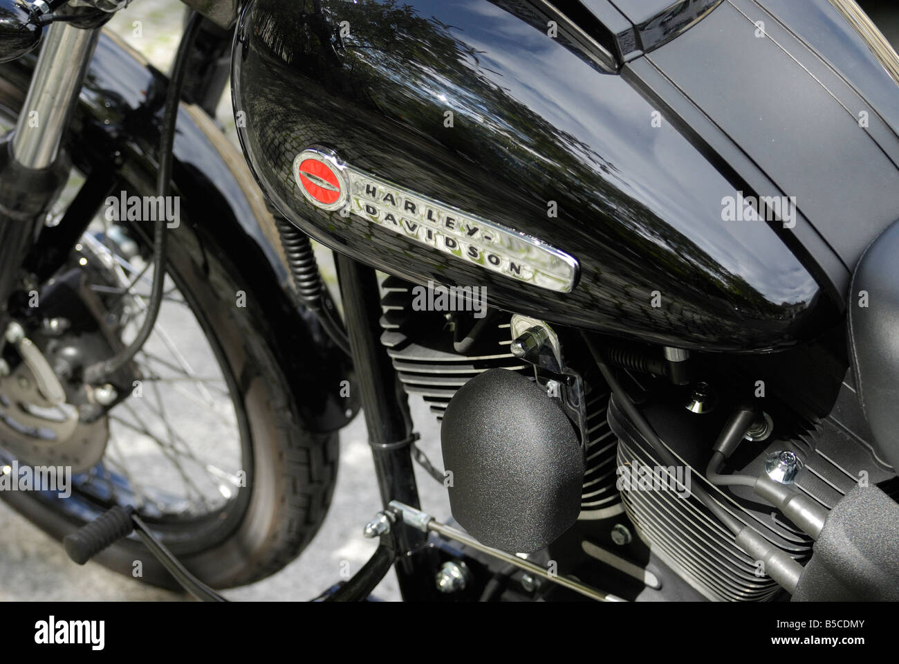Harley Davidson Custom Motorcycle chrome Engine detail Stock Photo
