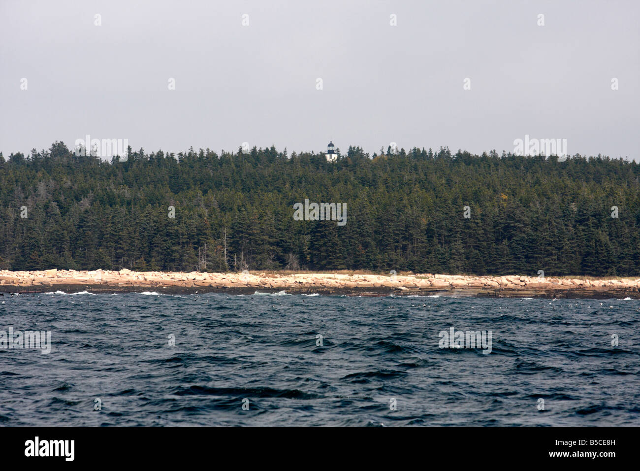 Baker Island with lighthouse, near Bar Harbor, Maine Stock Photo Alamy