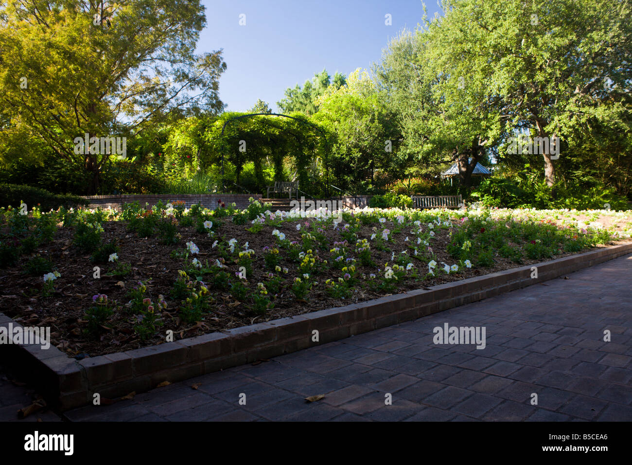 One of the garden beds at the San Antonio Botanical Gardens in Texas ...