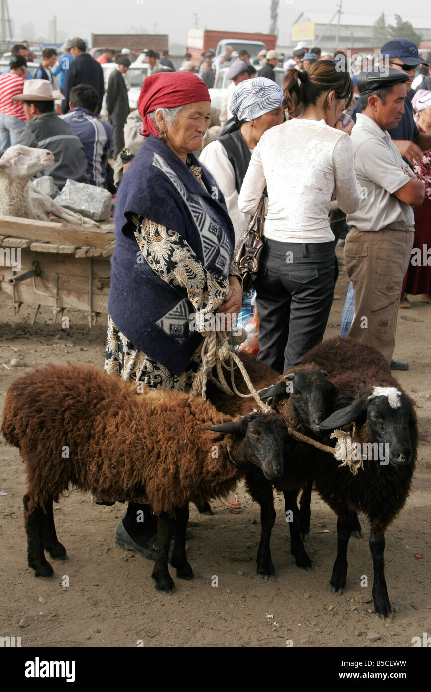 Kyrgyz woman selling her sheeps on Sunday animal market in Karakol, Kyrgyzstan, Central Asia Stock Photo