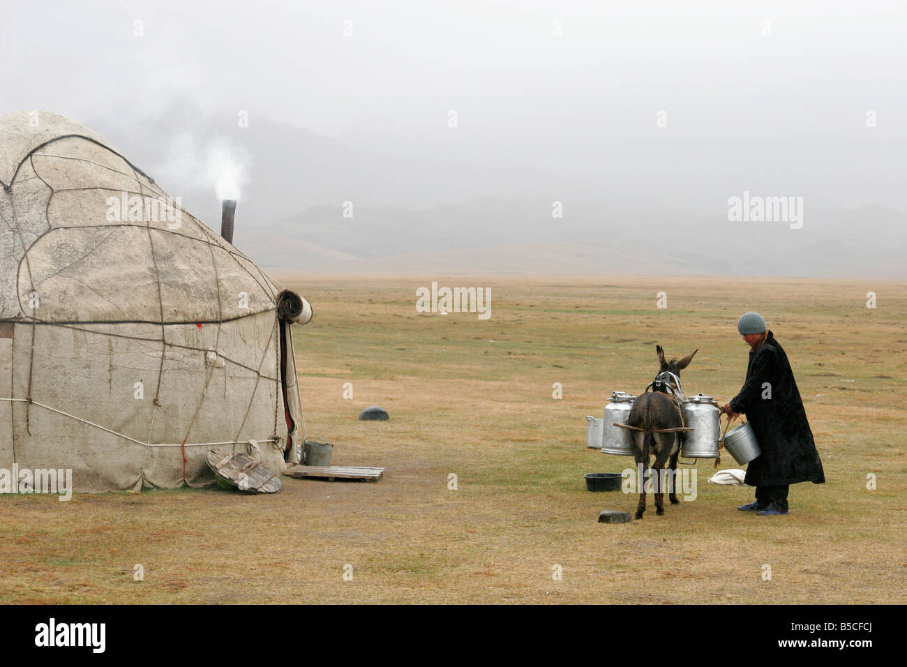 Young Kyrgyz man carrying water on donkey, Kyrgyz yurt, lake Song-Kol, Tien Shan mountain, Kyrgyzstan, Central Asia Stock Photo