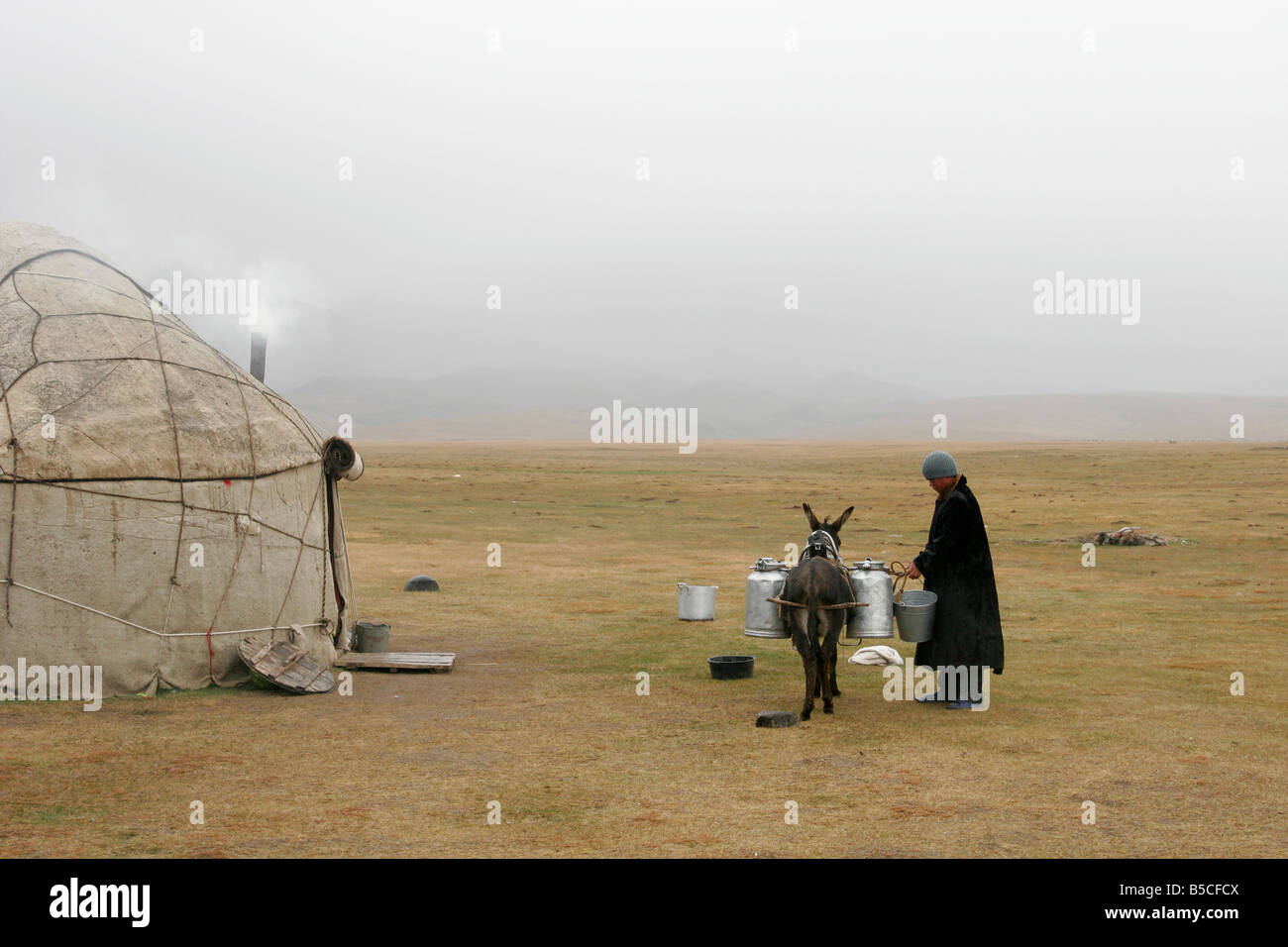 Young Kyrgyz man carrying water on donkey, Kyrgyz yurt, lake Song-Kol, Tien Shan mountain, Kyrgyzstan, Central Asia Stock Photo