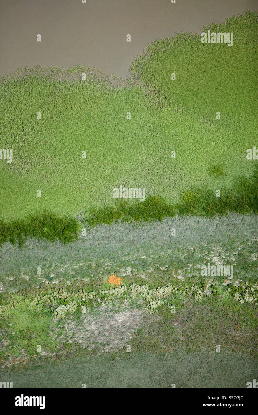 aerial view above vegetation at edge of Petaluma river saline water mix from tidal action Stock Photo