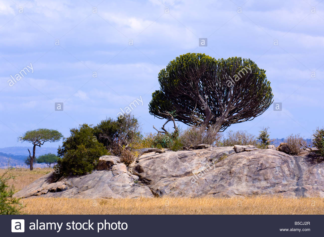Kopje Stock Photos & Kopje Stock Images - Alamy