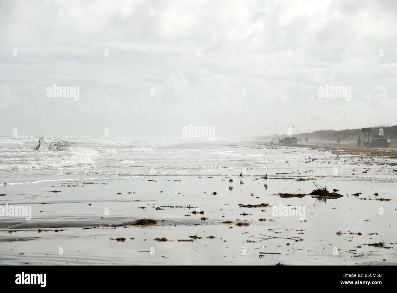 Padre Island beach after hurricane Ike, Southern Texas, USA Stock Photo