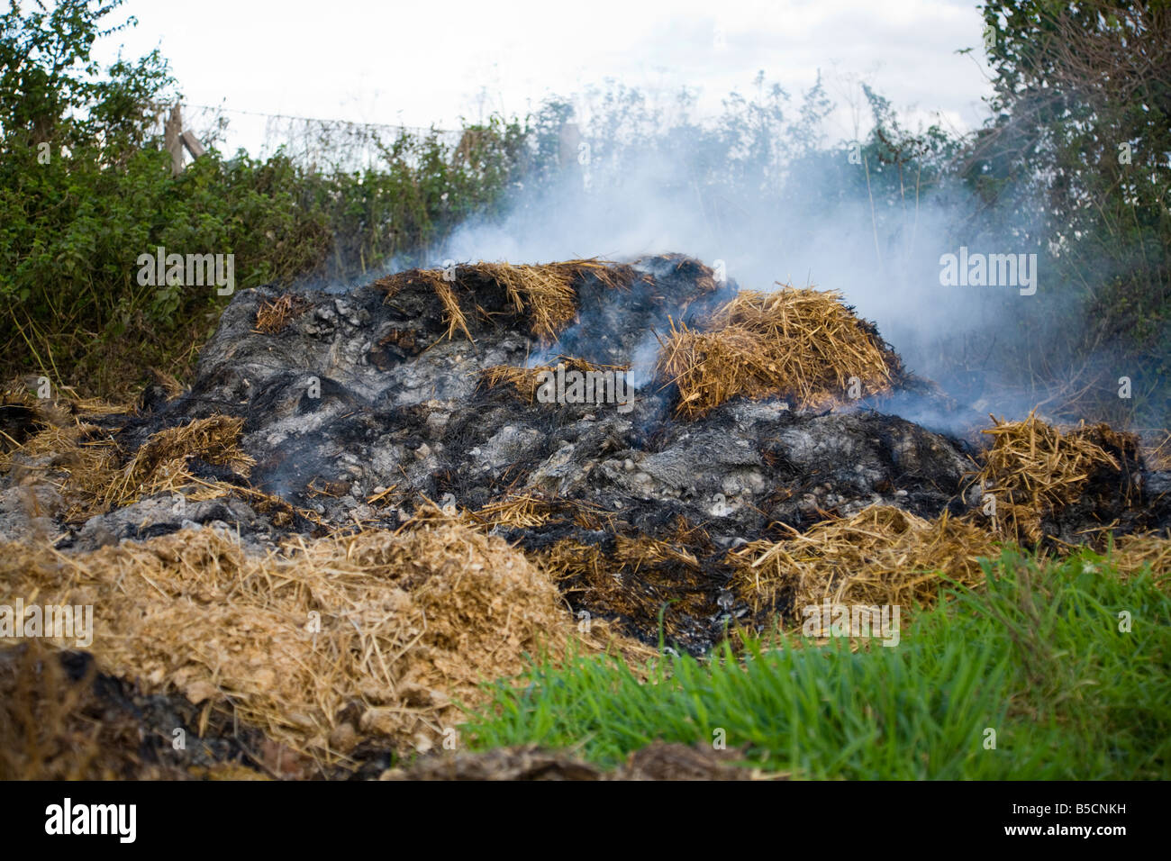 Agricultural waste hi-res stock photography and images - Alamy