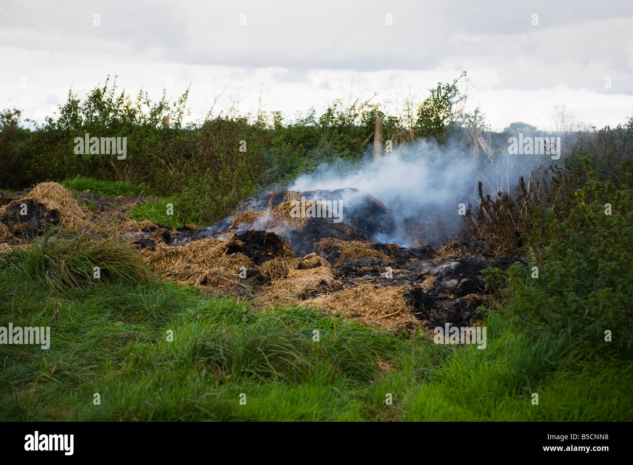 Burning a heap of old straw, animal bedding, manure, farm waste, on the