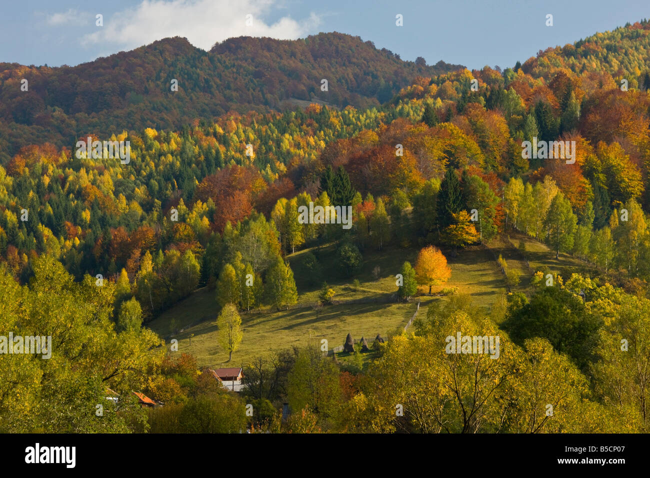 Zsil valley hi-res stock photography and images - Alamy