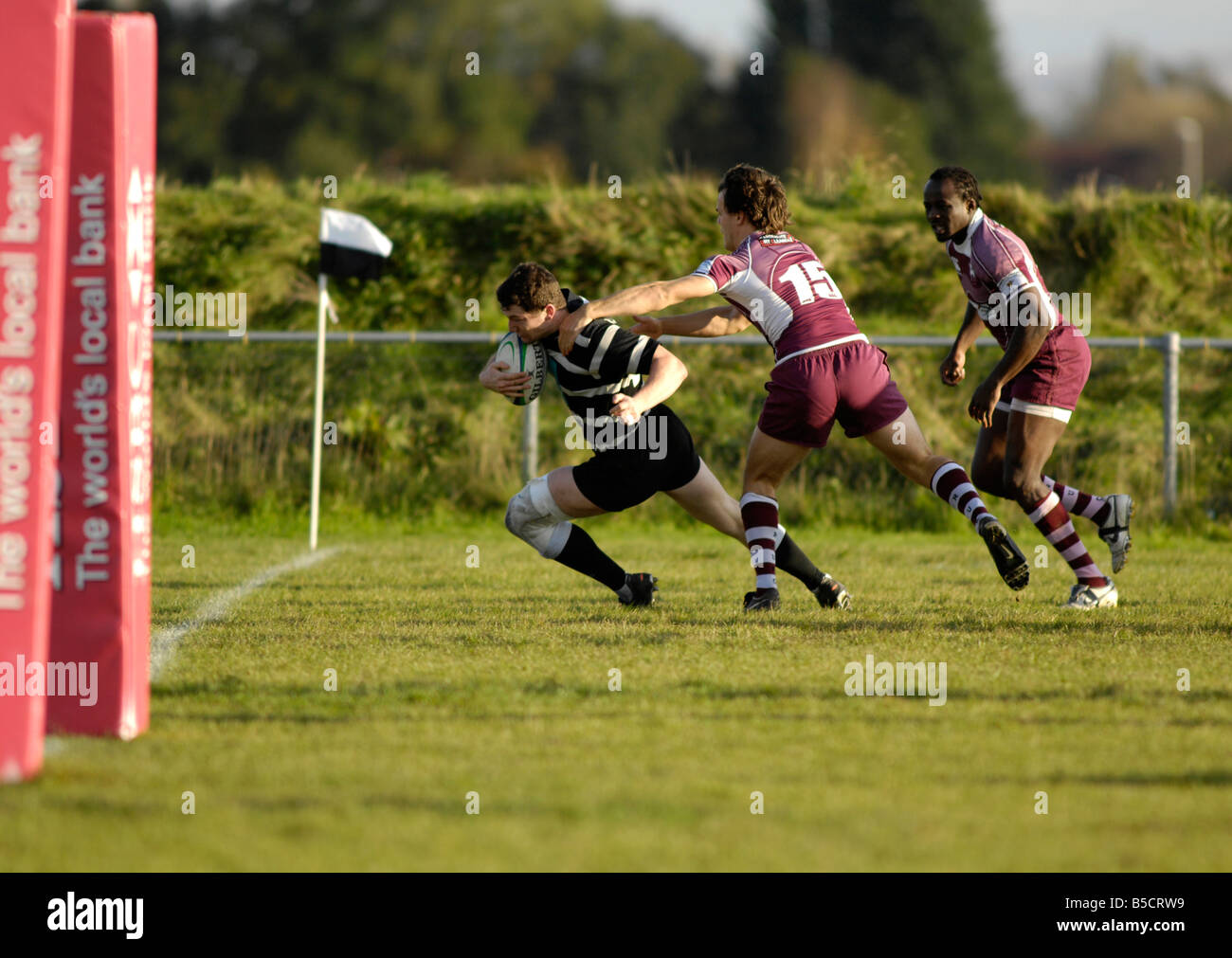 rugby player scores a try Stock Photo Alamy