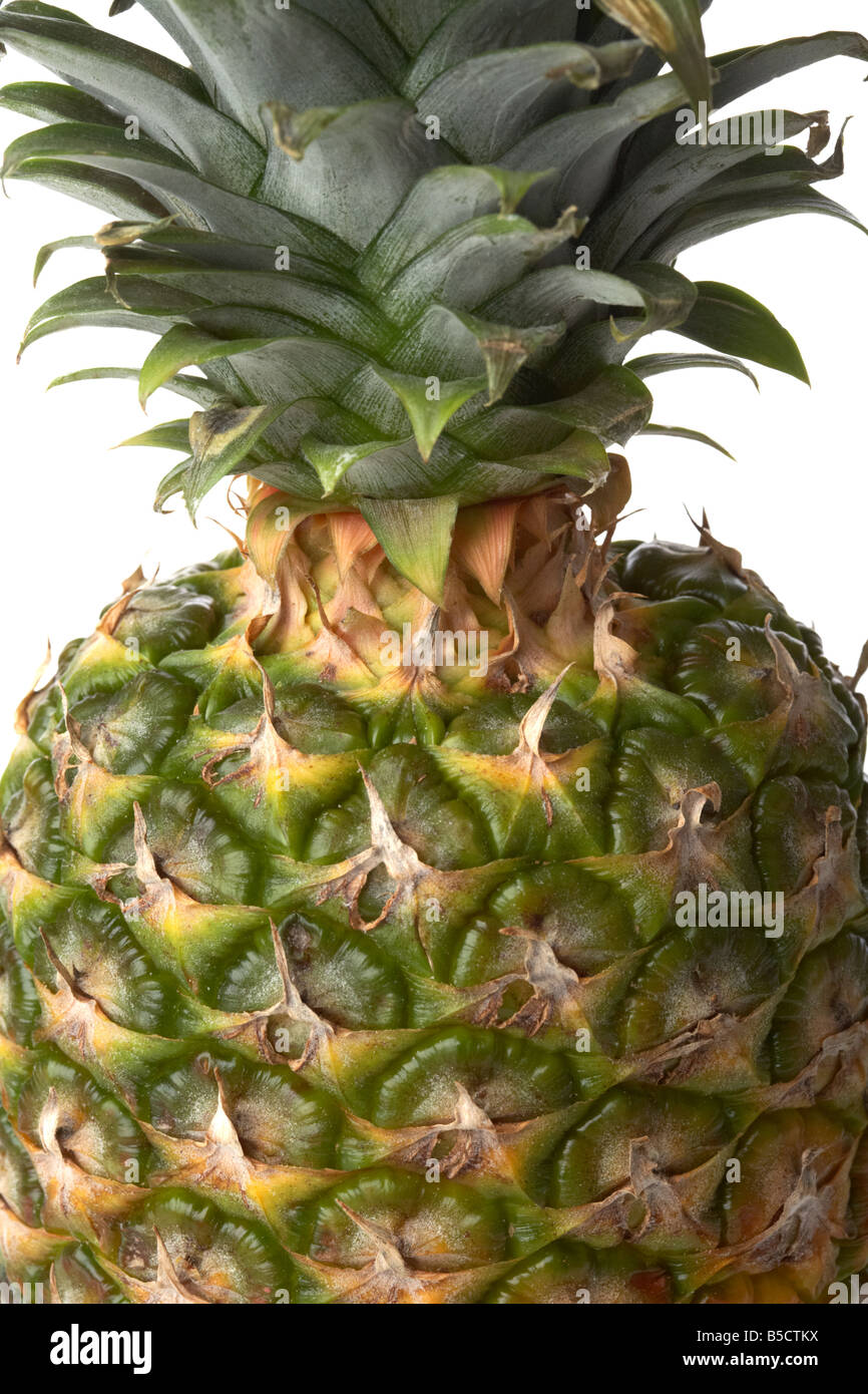 Pineapple crown hires stock photography and images Alamy