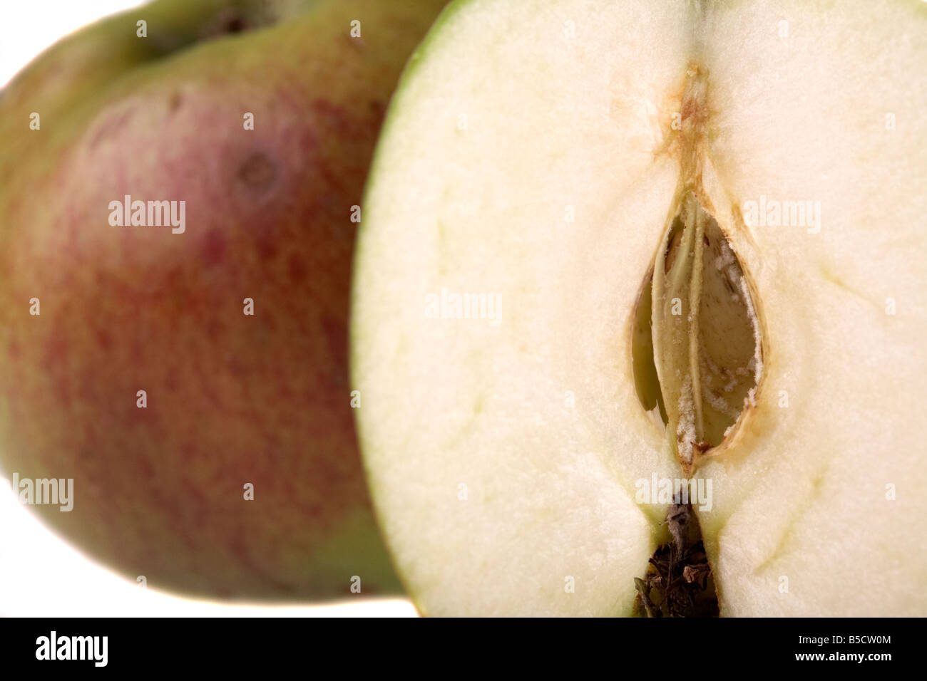 close up of slice of and a whole bramley cooking apple Stock Photo