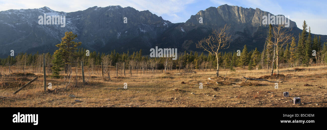 Panoramic view of Mount Yamnuska, Alberta Stock Photo